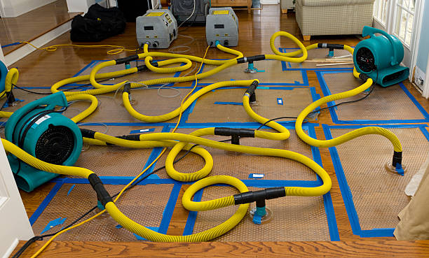 Professional Flood Damage Restoration technician working in Port Hueneme, CA